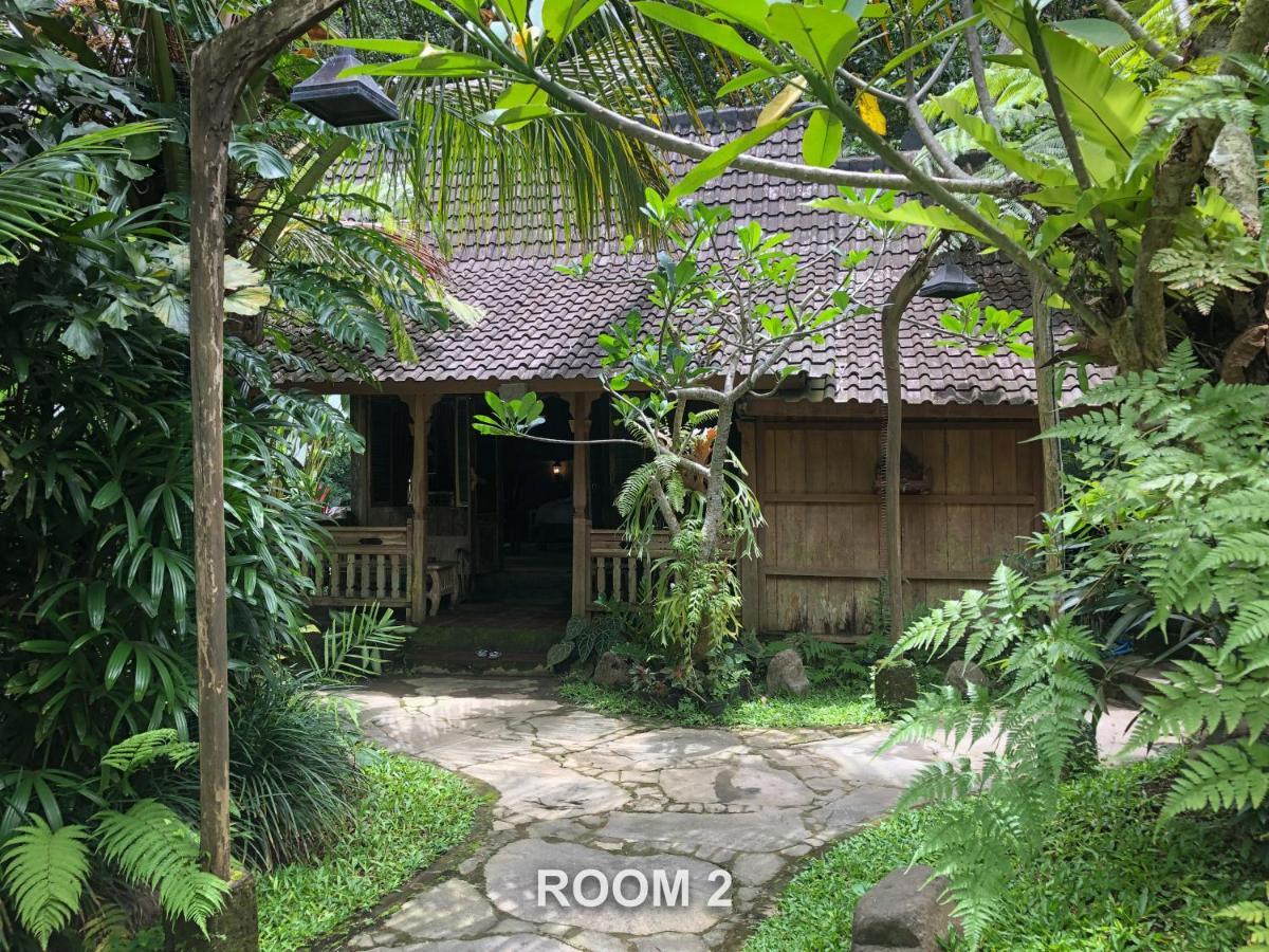 Sweet Orange Pondok Ubud Exteriér fotografie
