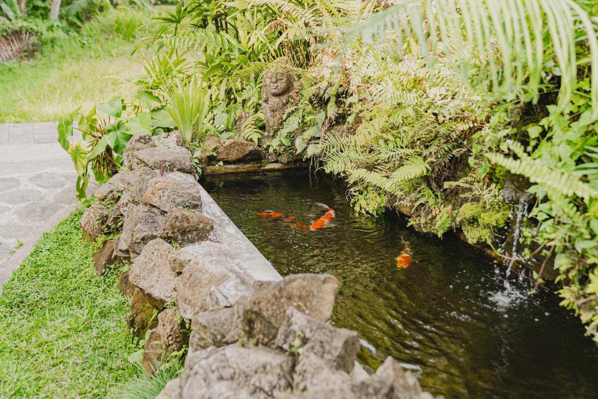 Sweet Orange Pondok Ubud Exteriér fotografie